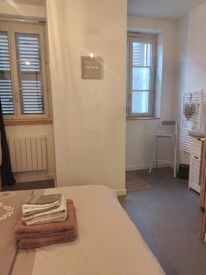 Le Coeur De Sel Apartment Salins-les-Bains Bagian luar foto
